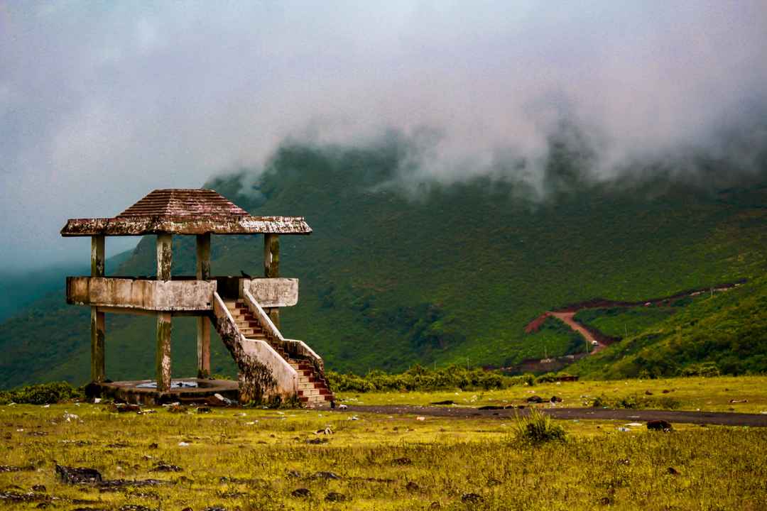 bhitarkanika eco tourism